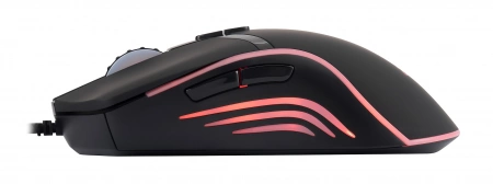 Мышь Acer OMW144 черный оптическая (3200dpi) USB (7but) (id 36370)