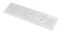 Клавиатура Acer OKW123 белый USB (ZL.KBDEE.00D) (id 27204)