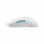 Мышь ASUS P713 ROG HARPE ACE AIM LAB EDITION/WHT /MS,AIMPOINT,5 BUTTONS,36000DPI,WHT (id 27127)