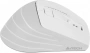 Мышь A4Tech Fstyler FG30S белый/серый оптическая 2000dpi silent беспров. USB 6but (FG30S WHITE) (id 39818)