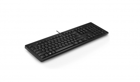Клавиатура HP 125 механическая черный USB (M27527-061) (id 38435)
