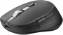 Мышь Acer OMR310 черный оптическая 1600dpi беспров. BT/Radio USB (ZL.MCECC.031) (id 32067)