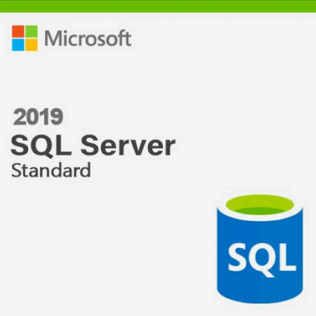 ПО Microsoft SQL Server Standard Edition 2019 English DVD 10 Client (228-11548) (id 8233)