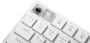 Redragon Механическая клавиатура Anubis RU,RGB,белый,BT+2.4G,тонкая (id 54843)