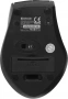 Беспроводная оптическая мышь Defender 52365 Accura MM-365 черный,6 кнопок, 800-1600 dpi (id 48713)