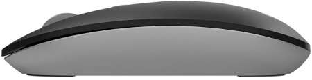 Мышь A4Tech Fstyler FG20 серый оптическая 2000dpi беспров. USB для ноутбука 4but (FG20 GREY) (id 39817)