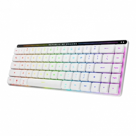 Клавиатура ASUS M603 FALCHION RX /KB,ROG RX OPTICAL/LP/RLRD/RU (id 27083)