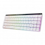 Клавиатура ASUS M603 FALCHION RX /KB,ROG RX OPTICAL/LP/RLRD/RU (id 27083)