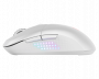 Мышь MSI VERSA 300 ELITE W белый оптическая 26000dpi беспров. BT USB2.0 6but (S12-4301450-CLA) (id 39927)