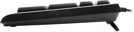Клавиатура Acer OKW301 черный USB (ZL.KBDCC.01A) (id 39826)