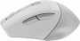 Мышь A4Tech Fstyler FG35 серебристый/белый оптическая 2000dpi беспров. USB 6but (FG35 SILVER) (id 39825)